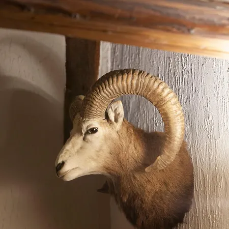 Le Grandgousier 3* Mirwart