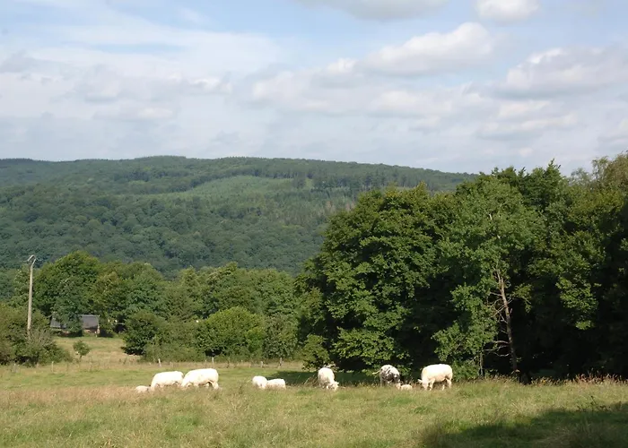 Le Grandgousier Hotel