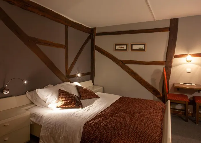 Hotel Le Grandgousier 3*