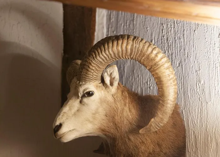 Le Grandgousier 3* Mirwart