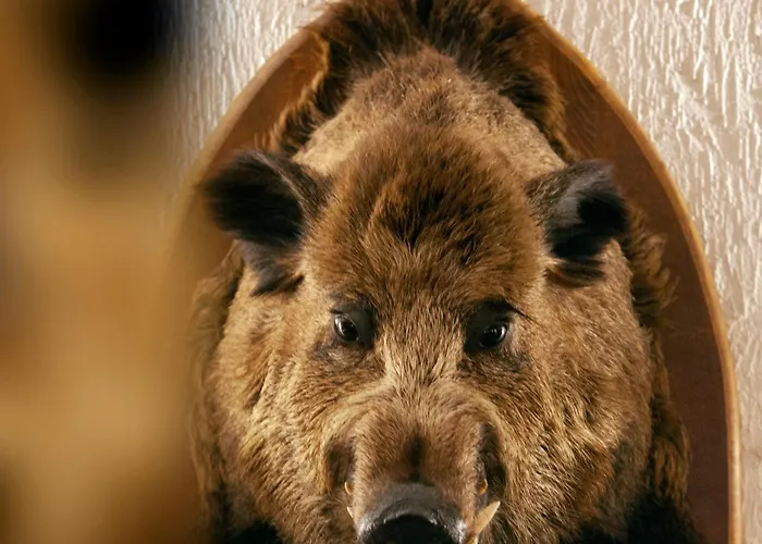 Le Grandgousier Hotel