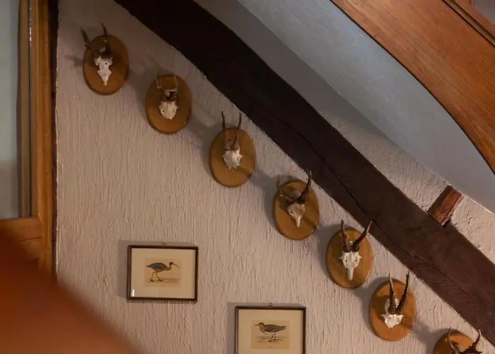 Hotel Le Grandgousier